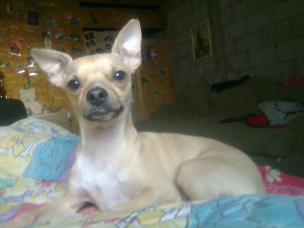 Mickey