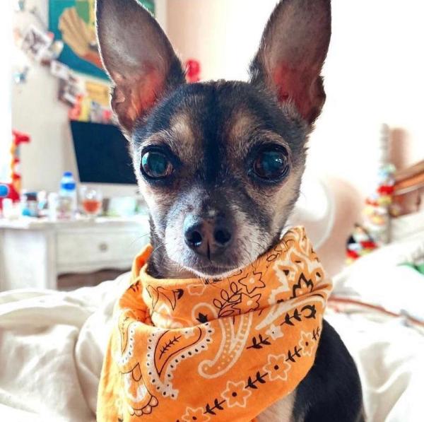 Lola