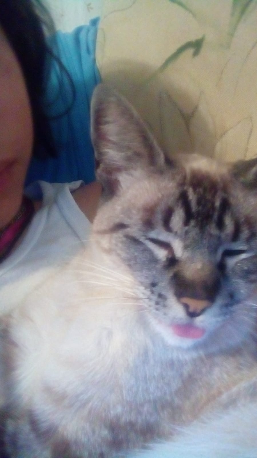 Dulce Luna