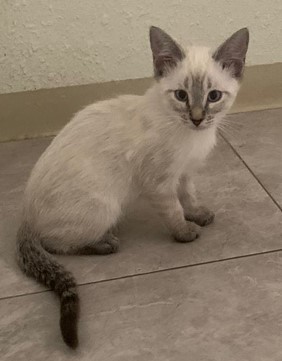 Ojitos